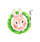 Lovely rabbit sticker！4（個別スタンプ：12）