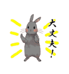 Lovely rabbit sticker！4（個別スタンプ：13）