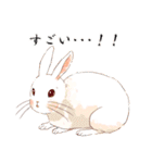 Lovely rabbit sticker！4（個別スタンプ：28）