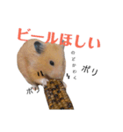 キンクマハムスターの楽俊(らくしゅん)（個別スタンプ：11）