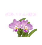 草花の花言葉（個別スタンプ：23）