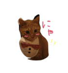 あたち  まいけるにゃ！（個別スタンプ：1）