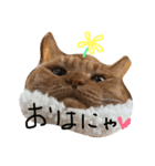 あたち  まいけるにゃ！（個別スタンプ：5）