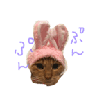 あたち  まいけるにゃ！（個別スタンプ：8）