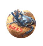 カブさんの日常。（個別スタンプ：1）