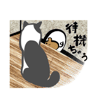 「しらす」という名の猫（個別スタンプ：31）