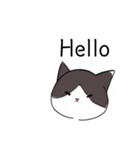 ねこひなた②1（個別スタンプ：1）