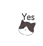 ねこひなた②1（個別スタンプ：2）