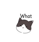 ねこひなた②1（個別スタンプ：7）