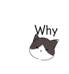 ねこひなた②1（個別スタンプ：8）