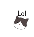 ねこひなた②1（個別スタンプ：10）