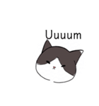 ねこひなた②1（個別スタンプ：16）