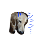 エルフィーのスタンプ（個別スタンプ：11）