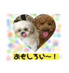 ワンコ三兄弟（個別スタンプ：15）