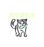 猫たちの気ままな生活（個別スタンプ：2）