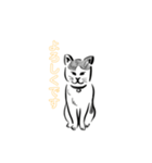 猫たちの気ままな生活（個別スタンプ：3）