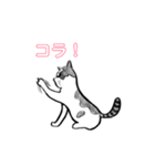 猫たちの気ままな生活（個別スタンプ：5）