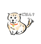 猫たちの気ままな生活（個別スタンプ：10）