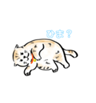 猫たちの気ままな生活（個別スタンプ：12）
