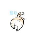 猫たちの気ままな生活（個別スタンプ：15）