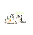 猫たちの気ままな生活（個別スタンプ：16）