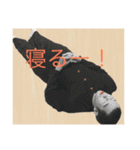 ごんださんの（個別スタンプ：10）