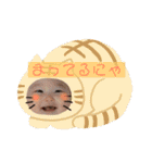 きこ一歳（個別スタンプ：24）