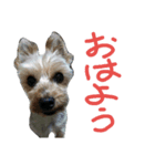 くぅぅ（個別スタンプ：5）