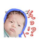 成壱ちゃんスタンプ（個別スタンプ：7）
