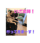 小次郎＆花（個別スタンプ：12）