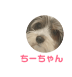 ちーちゃん＆うーちゃん（個別スタンプ：6）