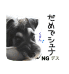 シュミでシュナ（個別スタンプ：7）