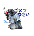 シュミでシュナ（個別スタンプ：24）