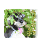 シュミでシュナ（個別スタンプ：31）