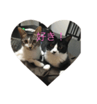 ルナとクロエの猫スタンプ2（個別スタンプ：3）