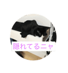 ルナとクロエの猫スタンプ2（個別スタンプ：6）