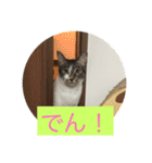 ルナとクロエの猫スタンプ2（個別スタンプ：30）