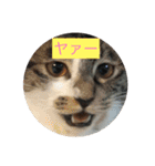 ルナとクロエの猫スタンプ2（個別スタンプ：32）