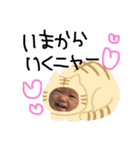 ゆっきーしゃん...（個別スタンプ：37）