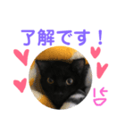 黒猫アメ（個別スタンプ：2）