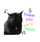 黒猫アメ（個別スタンプ：3）