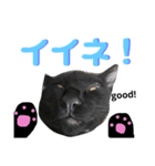 黒猫アメ（個別スタンプ：4）