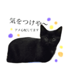 黒猫アメ（個別スタンプ：5）