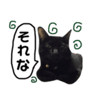 黒猫アメ（個別スタンプ：7）