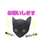 黒猫アメ（個別スタンプ：8）