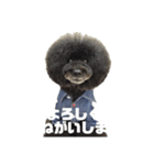 黒プーNoahの日常会話（個別スタンプ：9）