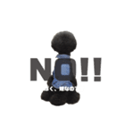 黒プーNoahの日常会話（個別スタンプ：14）