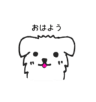 ぼくたちウェスティー（個別スタンプ：1）