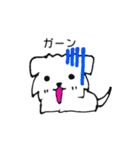 ぼくたちウェスティー（個別スタンプ：9）