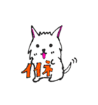 ぼくたちウェスティー（個別スタンプ：12）